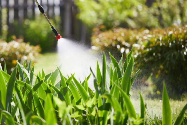 Tamper-Resistant Bait Stations for Rodents in Peach Springs