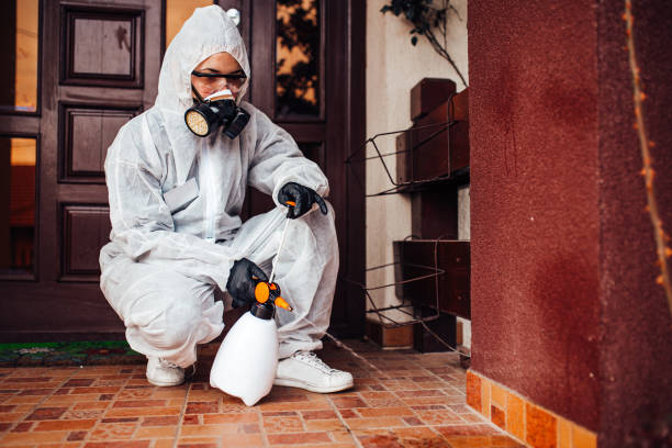 Attic and Crawl Space Rodent Treatment in Peach Springs